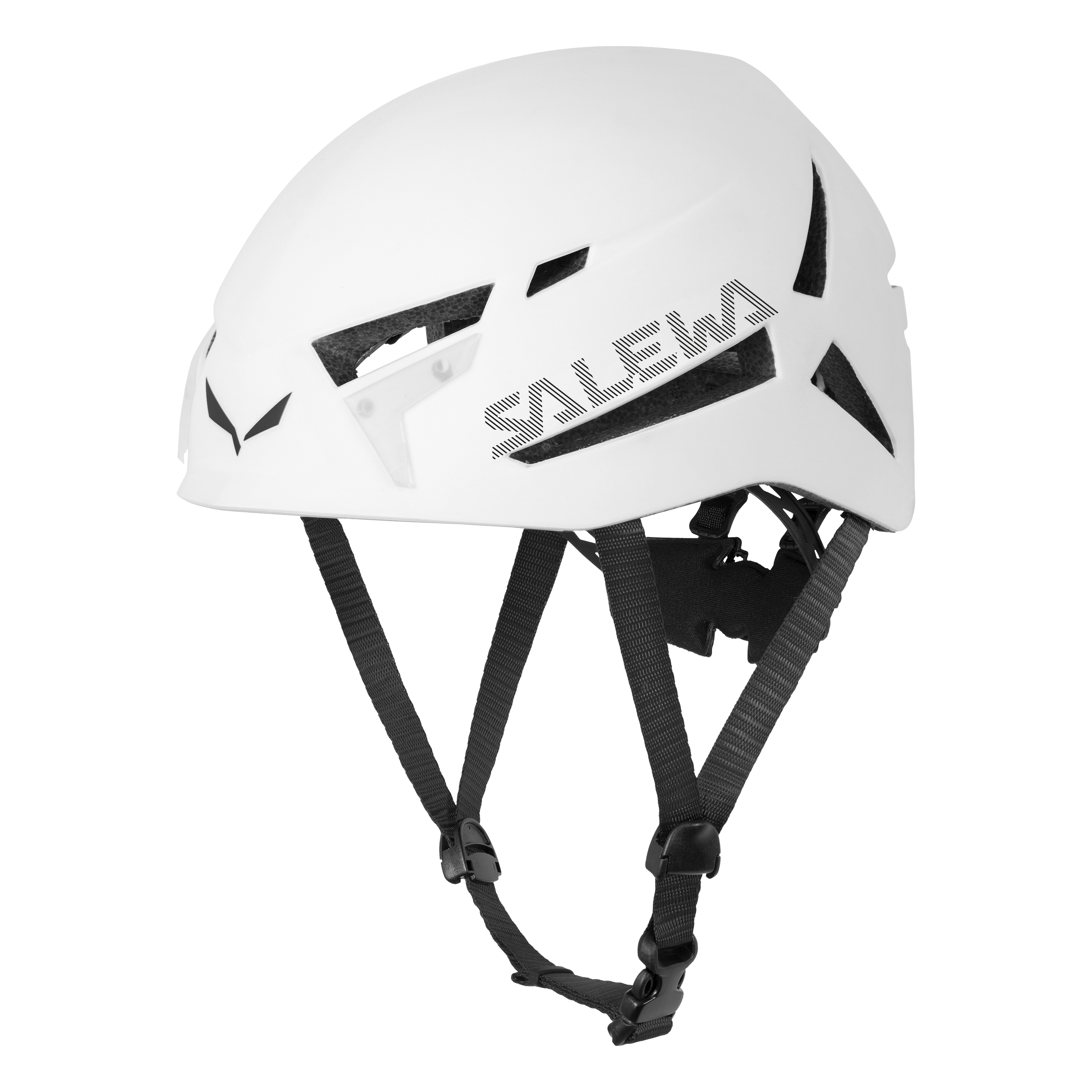 Casco Vega