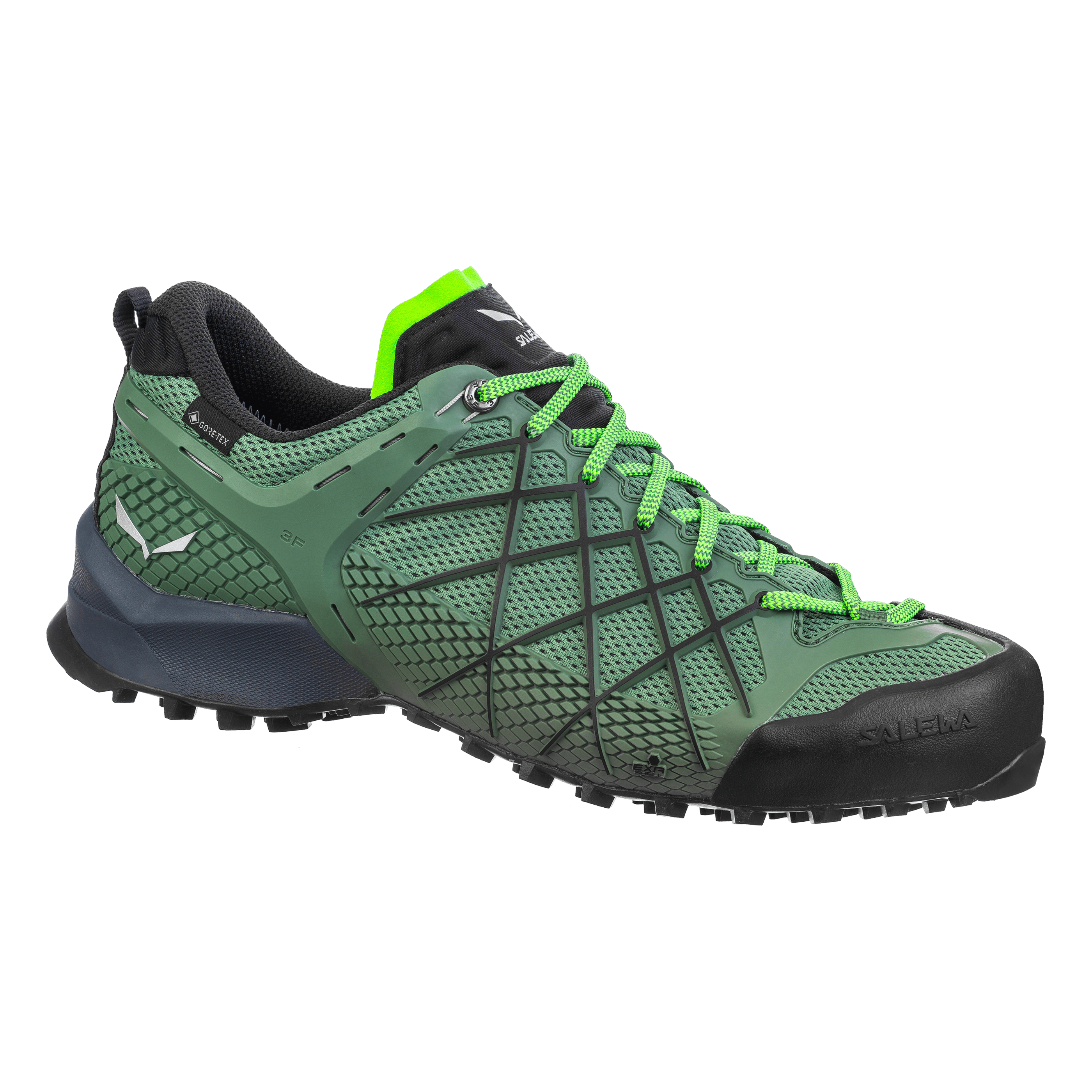 Zapatos para Hombres Wildfire GORE-TEX®